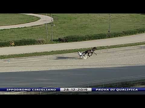 Aversa trotto 28 Dicembre 2019 - Prova di qualifica con galoppino