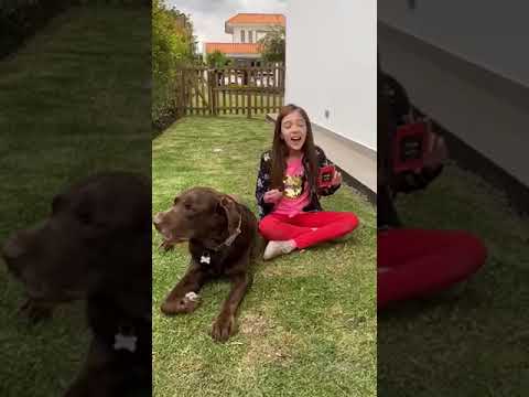 Minka chocolate lover