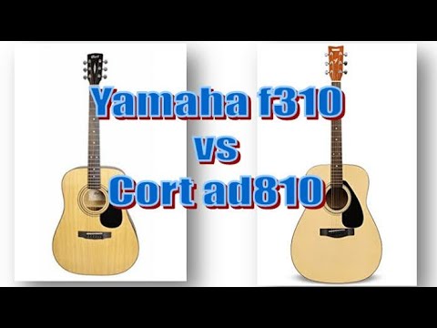BAGUSAN MANA GITAR CORT AD810 VS YAMAHA F310 ORIGINAL