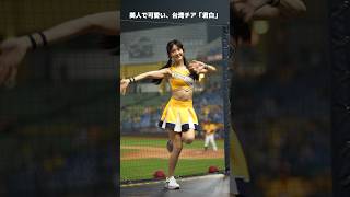 美人で可愛い? #君白 #台湾チア  #passionsisters #中信兄弟啦啦隊 #中華職棒 #cpbl #치어리더  2023/05/15【台湾チアTV】