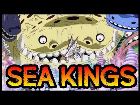 THE SEA KINGS: Massive Leviathans! - One Piece Discussion | Tekking101