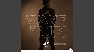 Wake Me Up (Avicii Speed Remix)