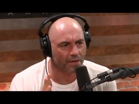 Joe Rogan - The Racial Differences in Intelligence Debate
