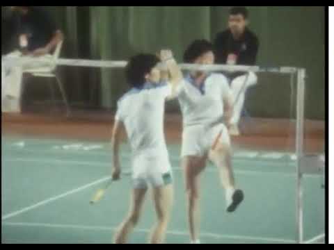 1982 Asian games badminton and volleyball