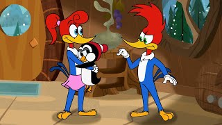 Woody Woodpecker cover
