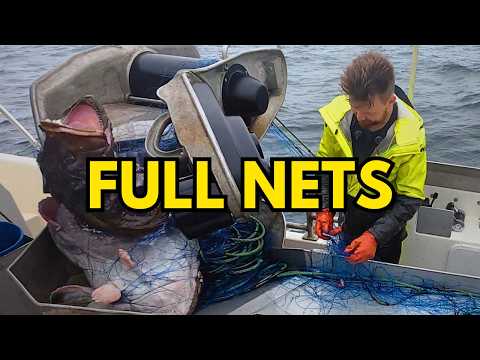 180 FULL Monkfish Nets in Heavy Seas (BIG Fish) #14