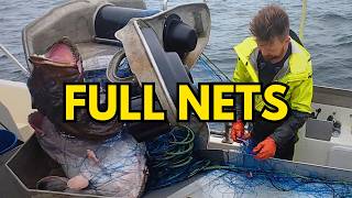180 Monkfish Nets in HEAVY Seas (BIG Fish) #14