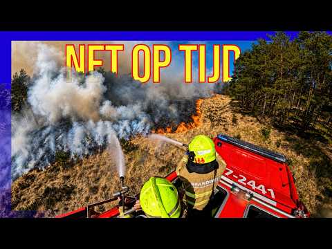 🔥 Massive wildfire on the Edese Heath… flames almost reached the forest 😱🌲🚒