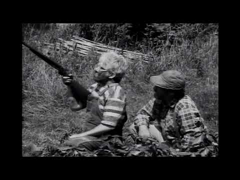 The Red Green Show - 24/7 Classic Comedy Stream