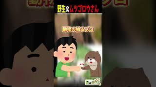 Vtuber 野生のムツゴロウさんに出会う #vtuber切り抜き #vtuber #新人vtuber #切り抜き