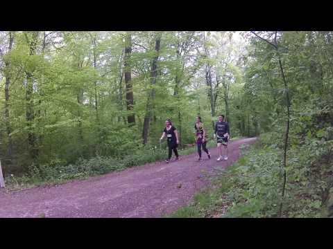 Delphi Run 2017