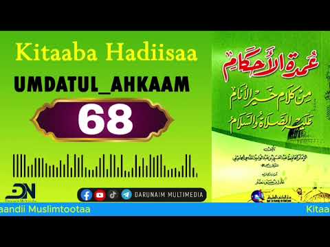 Umdat al-Ahkam — Part 68 | Kitaaba Hadiisaa Afaan Oromoo | عمدة الأحكام