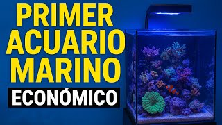 #1.😱Como montar un ACUARIO MARINO desde 0 ‼(ECONÓMICO)