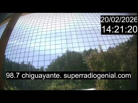 Chiguayante Bio Bio Chile, en Vivo. Live Cam, Camara en vivo.