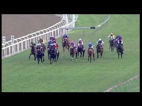 20190727 Greyville Express clip Race 8 won by KASIMIR