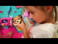 Doc McStuffins Pet Vet Checkup Center W 25 Pieces And Sound On QVC