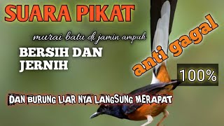Download lagu @, 01,SUARA PIKAT BURUNG MURAI BATU TERLAMA,COCOK JUGA BUAT MANCING EMOSI PART 02 mp3