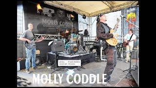 Molly Coddle CRUEL LITTLE NUMBER (J.Healey), EVIL WAYS (C.Henry)