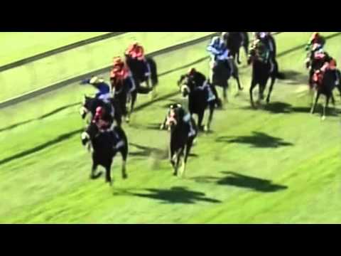 Allan Robertson Championship (Grade 1) 2014