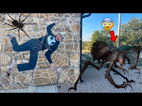 WE'VE BEEN KIDNAPPED BY A GIANT SPIDER! WE'RE TRAPPED!!! 😰