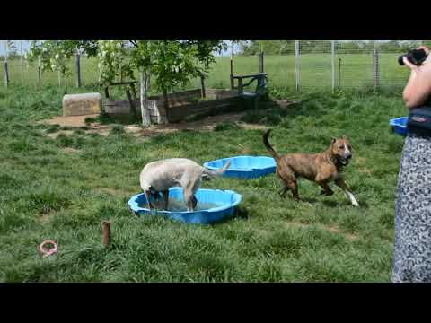 Ralf, Eddie en Latifa