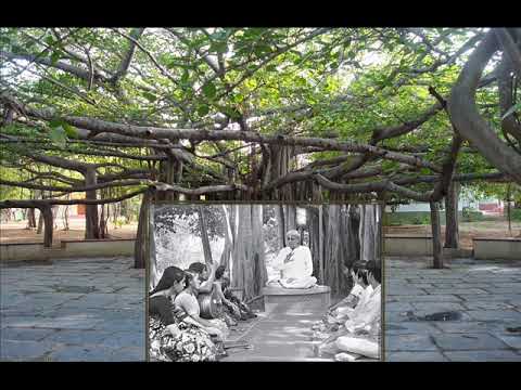 M. D. Ramanathan- tulasi jagajjanani  - sAvEri -  Thyagaraja