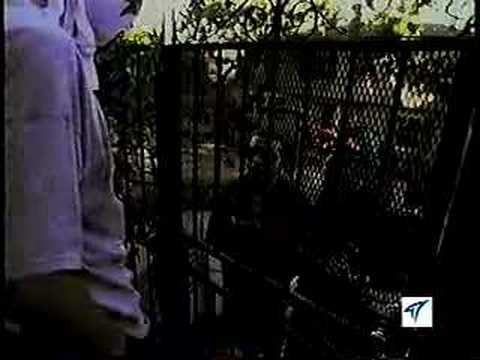 KutMasta Kurt Movie feat Tick & Mike D