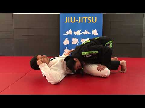 99 TECHNIQUES - #75 "Butterfly Guard Pass"