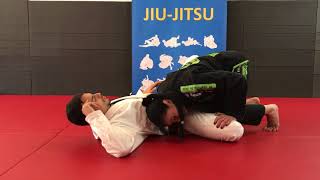 99 TECHNIQUES - #75 "Butterfly Guard Pass"