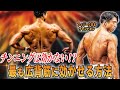 【背中の筋肉が発達しない?】背中トレのありがちな3つの勘違い