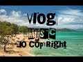 Niya A Bloom Vlog Music No CopyRight