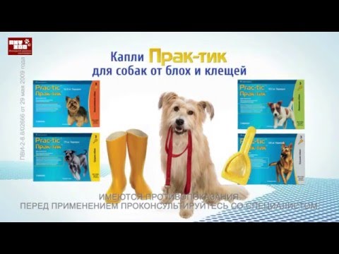 Капли от блох и клещей "Практик"