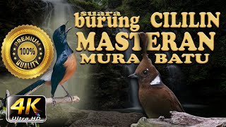 Download lagu MASTERAN CILILIN suara jernih, therapy air mengalir, audio dan visual premium quality 4K ultra HD mp3