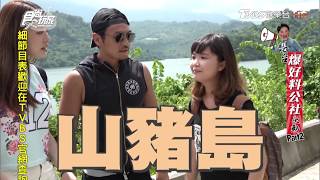 [問卦] 台灣山上都是豬的八卦？