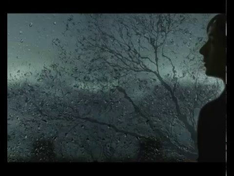 Bleeding Nature - Rays