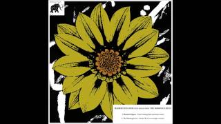 The Missing Leech   Painted By Covers