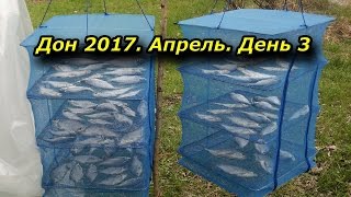 Весенняя рыбалка на дону в апреле