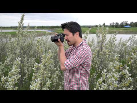 Panasonic FZ1000 Hands-On Field Test