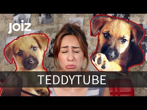 Welpe Teddy und Melissa sagen Tschüss! - TeddyTube Abschied