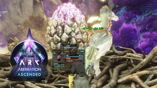 【ゆっくり実況】ARK Survival Ascended Aberration PS5　＃９