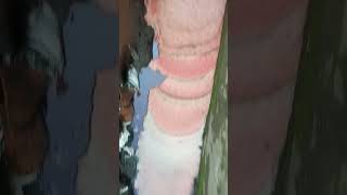 Download lagu nanti aku ceritain pas udah 5like mp3