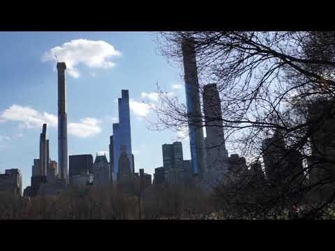 Walk in the Park on the First Day that Felt Like Spring