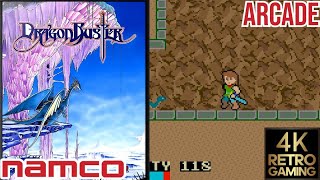 Dragon Buster Arcade (Namco 1984) 4k Gameplay