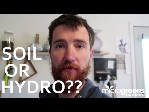 SOIL vs HYDROPONIC MICROGREENS