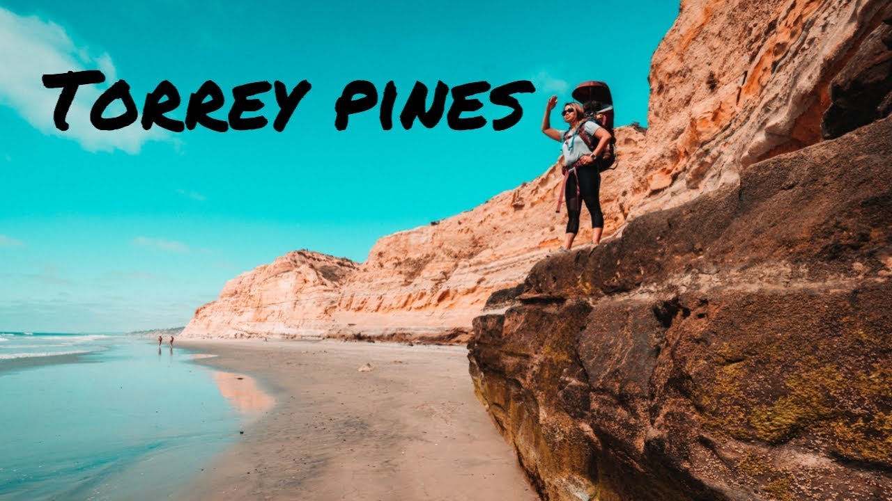 See Torrey Pines State Natural Reserve