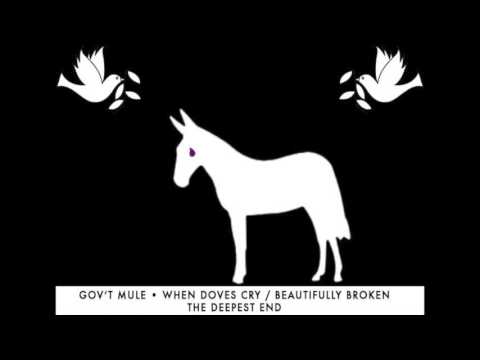 Gov't Mule Video