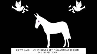 When Doves Cry / Beautifully Broken - Gov&#39;t Mule (The Deepest End)