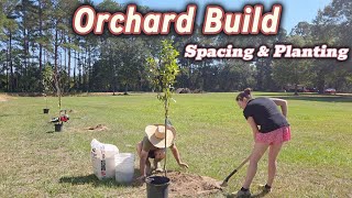 Planting An Orchard | Fruit Tree Spacing, Cost & Beginner Tips