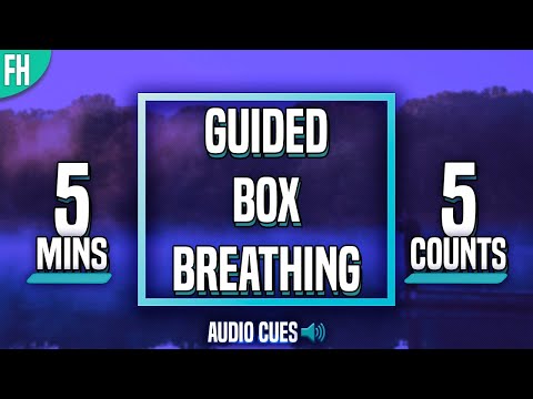 Guided Box Breathing - 5 Minute Meditation (5-5-5-5)