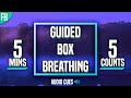 Guided Box Breathing 5 Minute Meditation 5 5 5 5